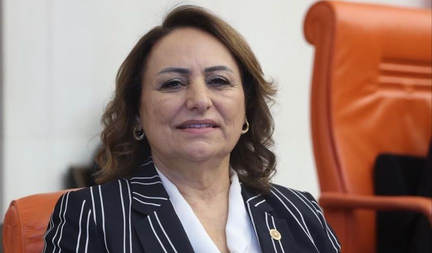 CHP'li Şevkin'den Meclis Kürsüsünde Emekli İsyanı "Bu Çığlığı Duyun"