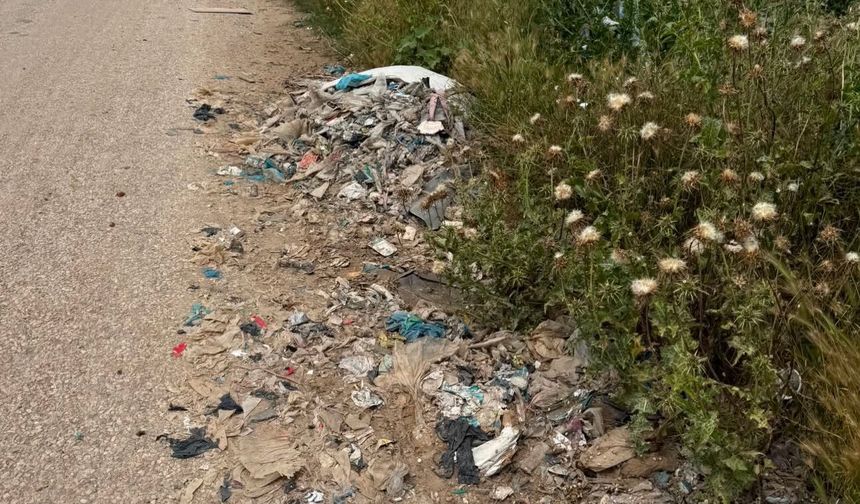 Büyük Dikili'de Çöp Tepkisi: "Zehirleniyoruz"