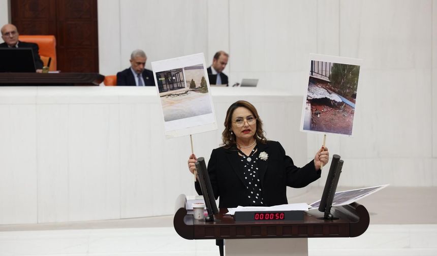 Müzeyyen Şevkin'den 17 Ağustos Mesajı: "Fay Zonlarında Yapılaşmaya Son Verilmeli"