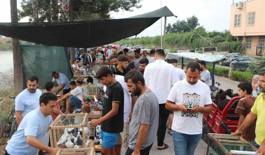 Adana’da Kuş Meraklılarının Buluşma Noktası: Pazar Şafakla Birlikte Kuruluyor