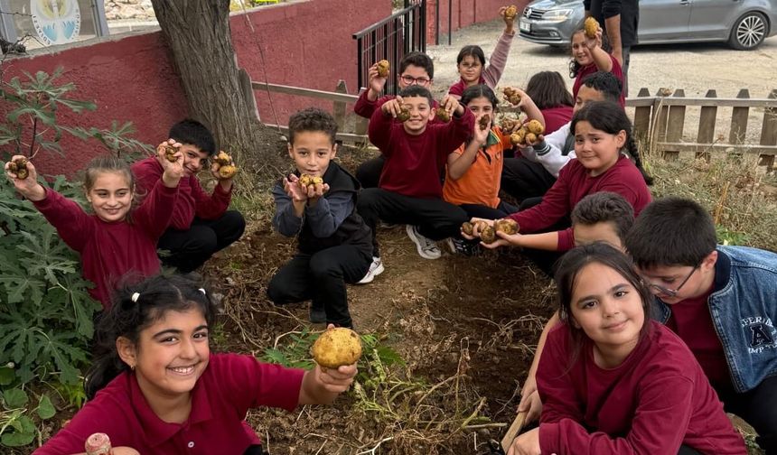 Okul Bahçesinde Yetiştirdiler, Geleneksel Lezzete Dönüştürdüler