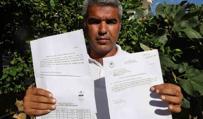 Mısırlar Neden Büyümedi? Çiftçi Gübreyi Analiz Ettirdi, Ardından Dava Açtı
