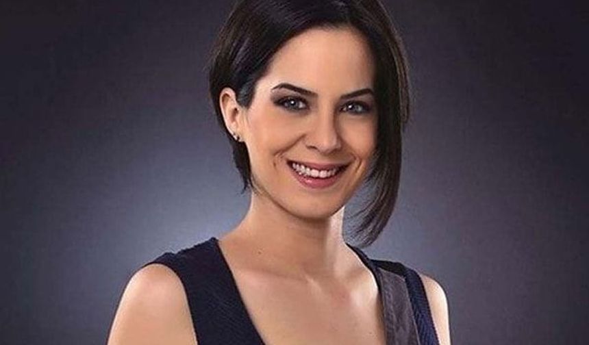 Dilara Gönder kimdir, nereli, kaç yaşında? Neden gündem oldu? Eşi kim, kaç çocuğu var? Neden istifa etti?