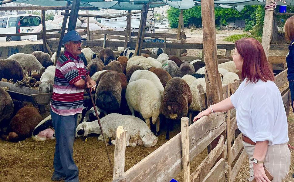 Adana’da Kurban Pazarı Başvuruları Başladı! Yerler Sınırlı