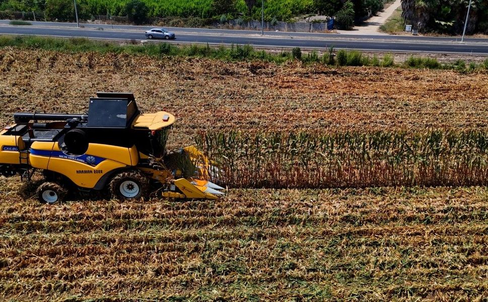 Mısır Kararında Tartışma Büyüyor: Yerli Üretim Risk Altında