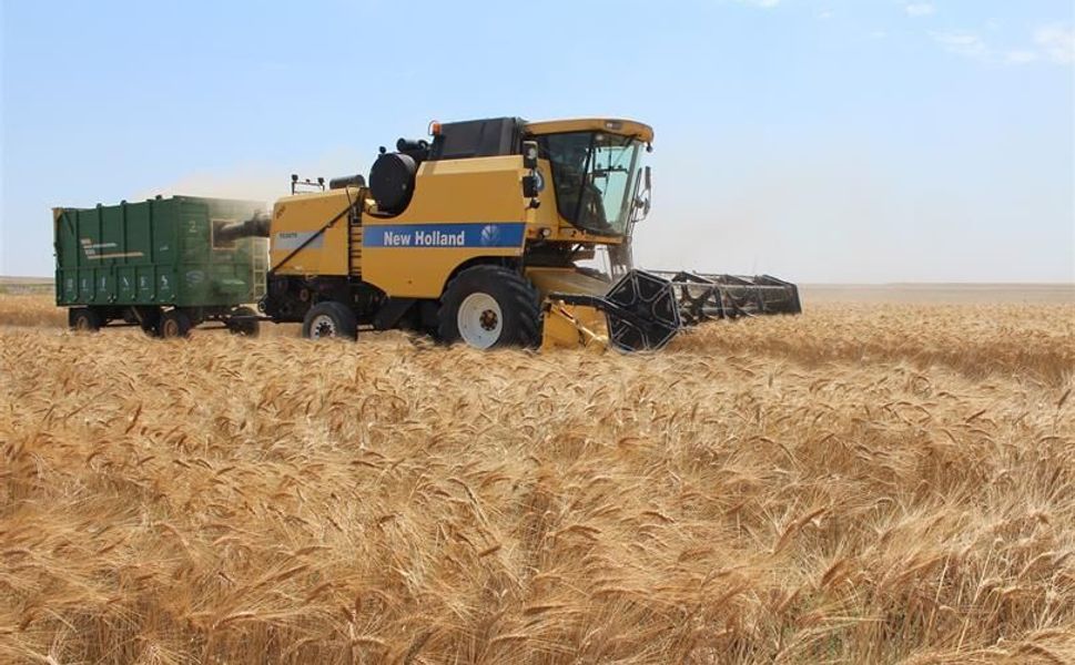 Adana Çiftçiler Birliği, Buğday Alım Fiyatında Olması Gereken Rakamı Açıkladı