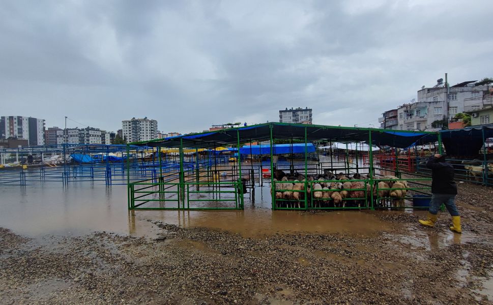 Adana’da Hayvan Pazarı Sular Altında Kaldı