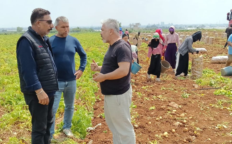 Adana’da Tarım Alarmı: Rekolte %30 Düştü