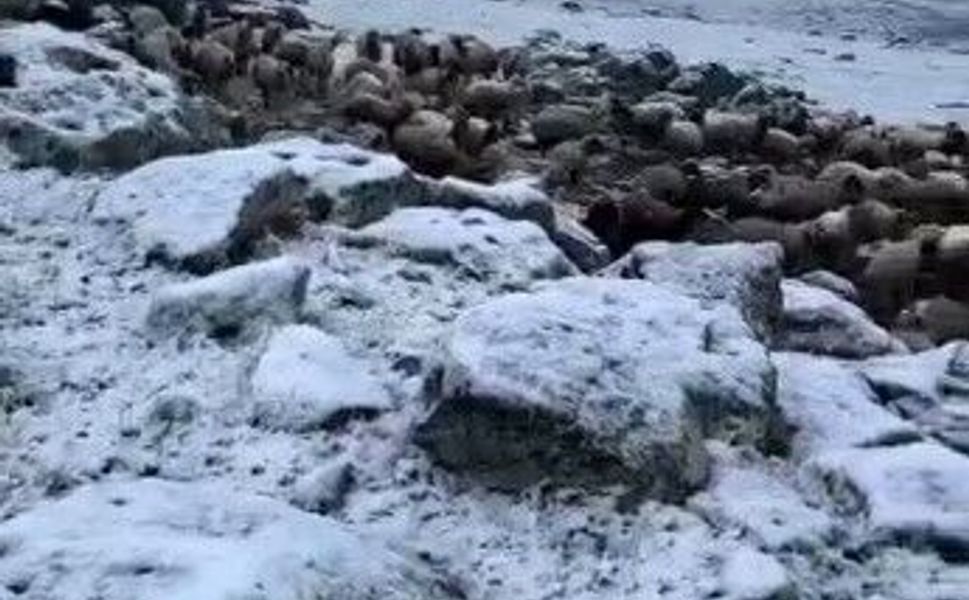Haziran’a 1 Gün Kala Kar Şoku: Yaz Beklerken Kış Geri Geldi!