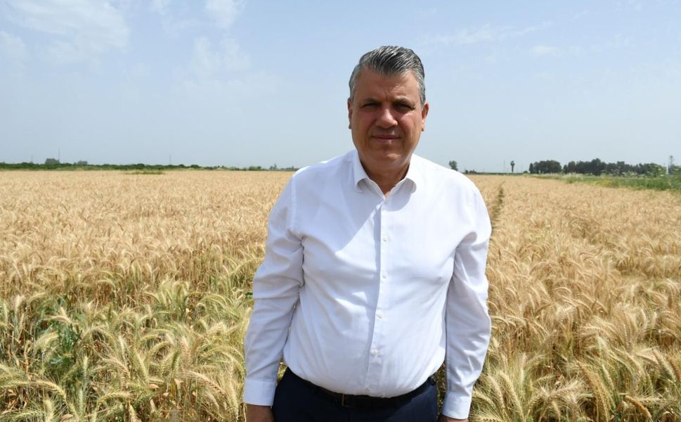 CHP’li Ayhan Barut’tan Buğdayda 25 TL Alım Fiyatı Çağrısı