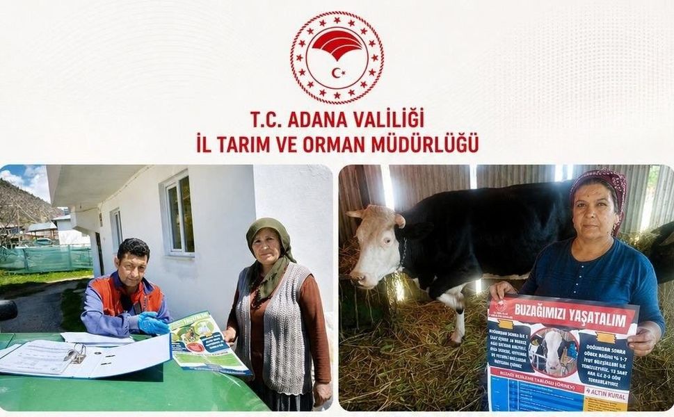Adana'da Hayvan Kayıplarına Karşı 15 İlçede Seferberlik