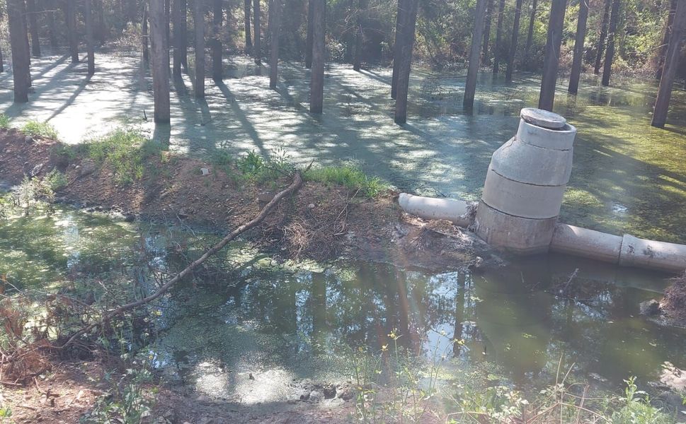 Adana’da Yurtlar Bölgesinde Çevre Alarmı: Öğrenciler ve Lojman Sakinleri "Koku ve Sinekten" Dertli!