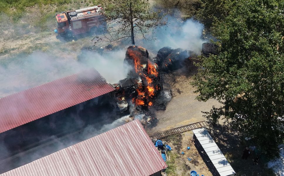 Çiftlik Alevlere Teslim Oldu: Pozantı'da Korkutan Yangın