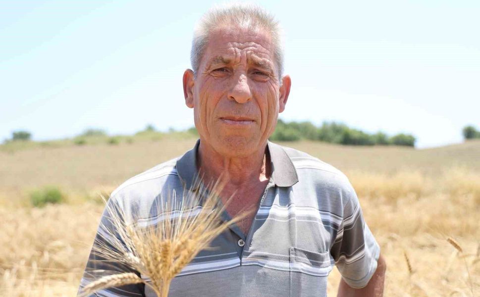 Adana'da Unutulan Ata Tohumu Yeniden Toprakla Buluştu!