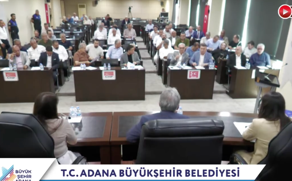 Karaisalı'da Ulaşım Krizi, Sivrisinek Sorunu ve Yol Tepkisi Meclis Gündeminde