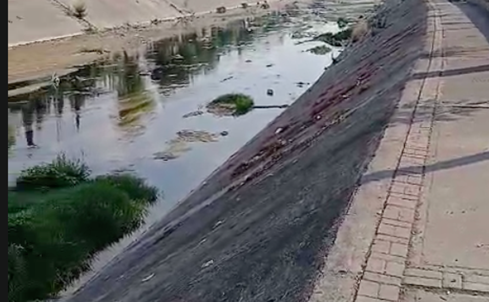 Yüreğir’de Vatandaş İsyan Etti: Kanal Bataklığa Döndü!