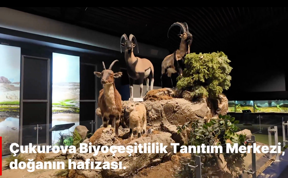 Vali Yavuz'dan Davet: Çukurova'nın Eşsiz Biyoçeşitliliğini Keşfedin