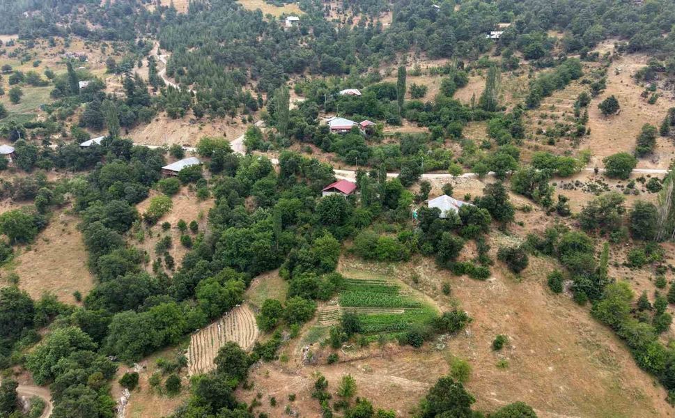 Feke'nin Dağ Köyünde Asırlık Yöntem! Kantaron ve Kekik Şifaya Dönüşüyor