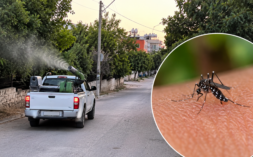 Adana'da Yaz Kabusa Döndü! Mahalleli İlaçlama Bekliyor
