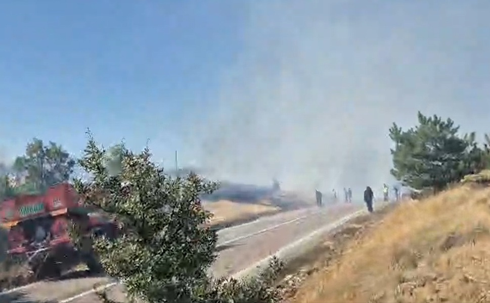 Buğday Tarlasında Başladı, Ormana Sıçradı