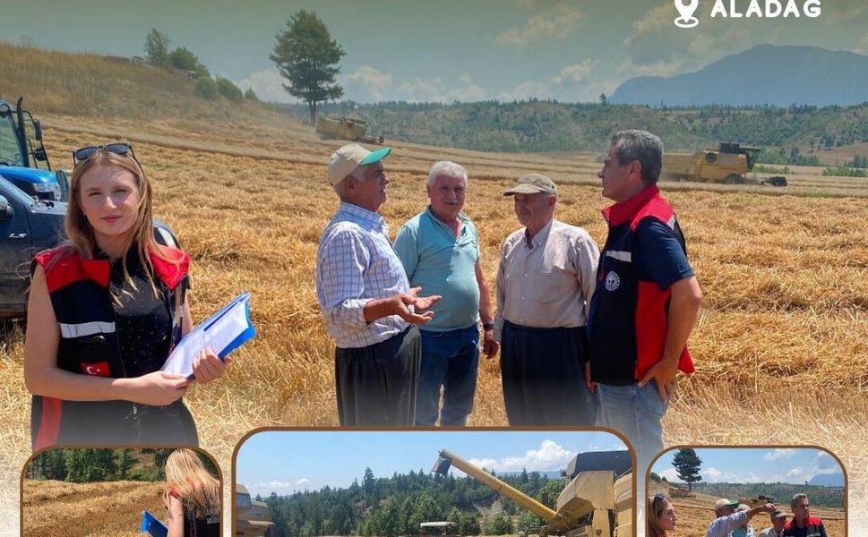 Adana'da Hasat Alarmı! Tarlalarda Sıkı Denetim Başladı