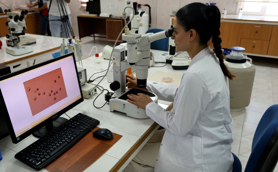 Adana’da Türkiye’nin İlk Ticari Sığır Embriyo Merkezi: Yüksek Verimlilik Hedefleniyor