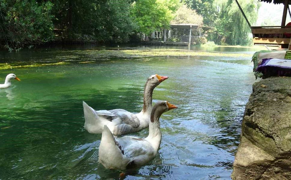 Adana'nın Keşfedilmeyi Bekleyen Doğa Harikası: Bucak Vadisi