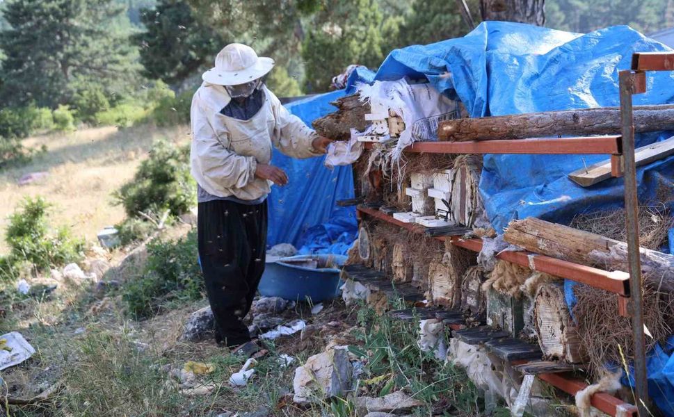 Emeklilikte Hayalini Gerçekleştirdi, Torosların Zirvesinde Arılarıyla Yaşıyor