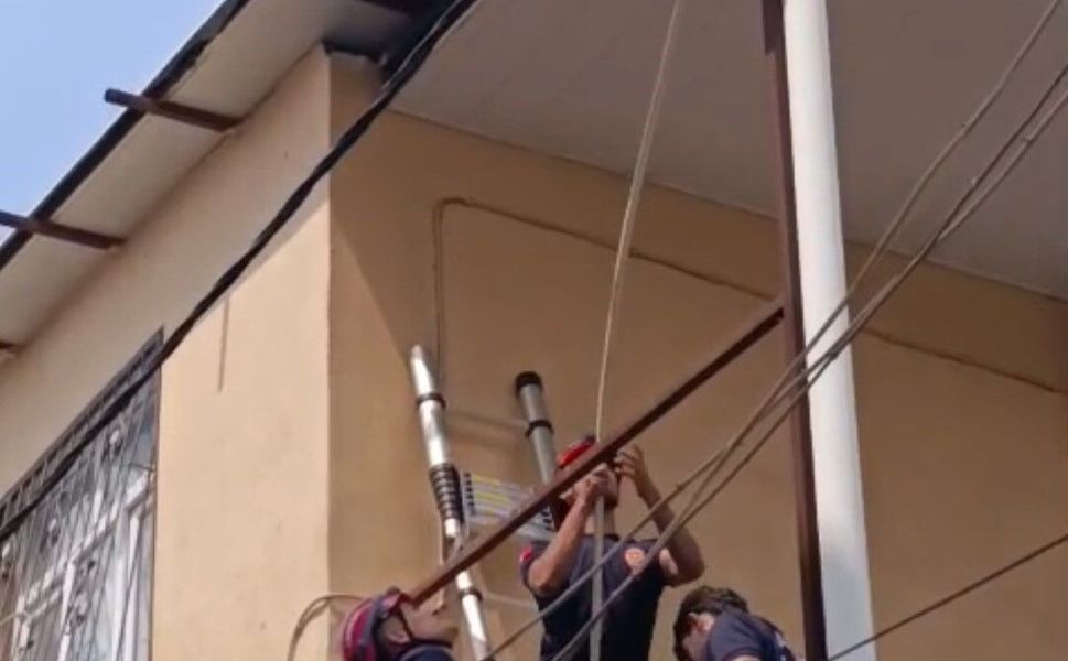 Yüreğir'de Can Pazarı: Tablaya Sıkışan Güvercin İtfaiye Tarafından Kurtarıldı