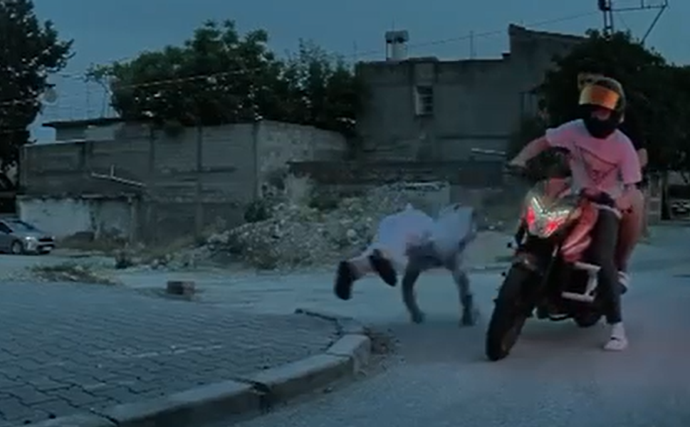 Adana'da İlginç Motor Kazası Kameralara Böyle Yansıdı