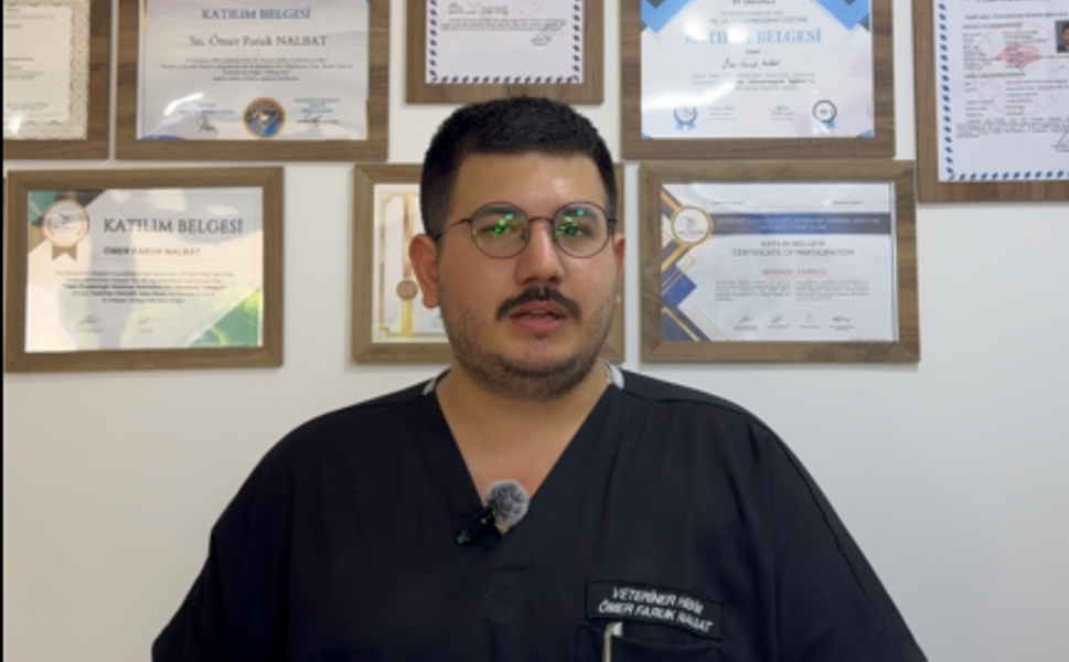 Uzman Veterinerden Kavurucu Sıcaklarda Sokak Hayvanları İçin Hayati Uyarı