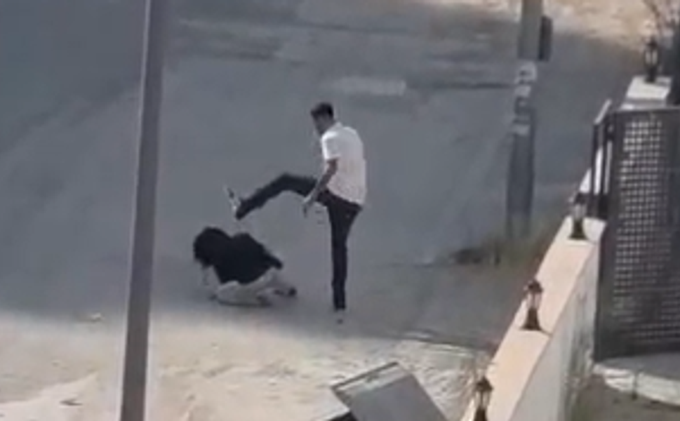 Tekme Tokat Darp Etti: Adana'da Sokak Ortasında Kadına Şiddet!