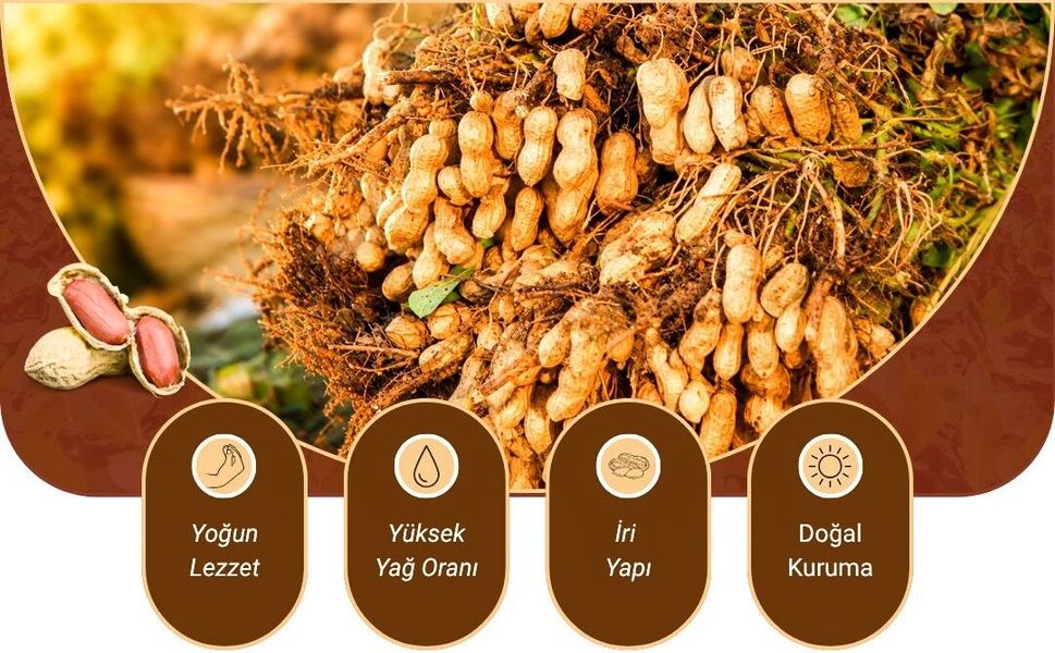 2023'te Tescillendi! Adana Yer Fıstığı Neden Bu Kadar Özel?