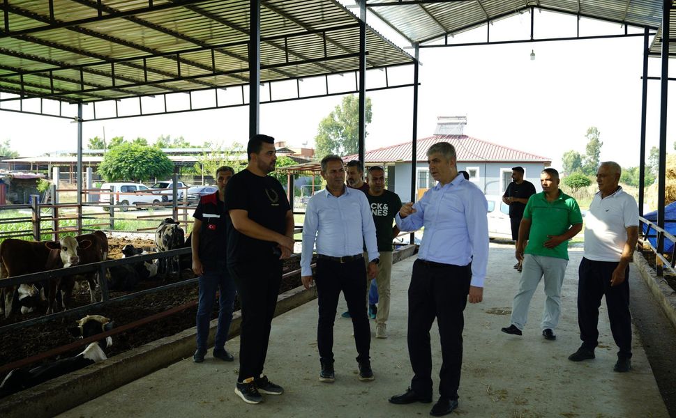 Kozan’da Hayvancılığa ‘Kırsalda Bereket’ Desteği