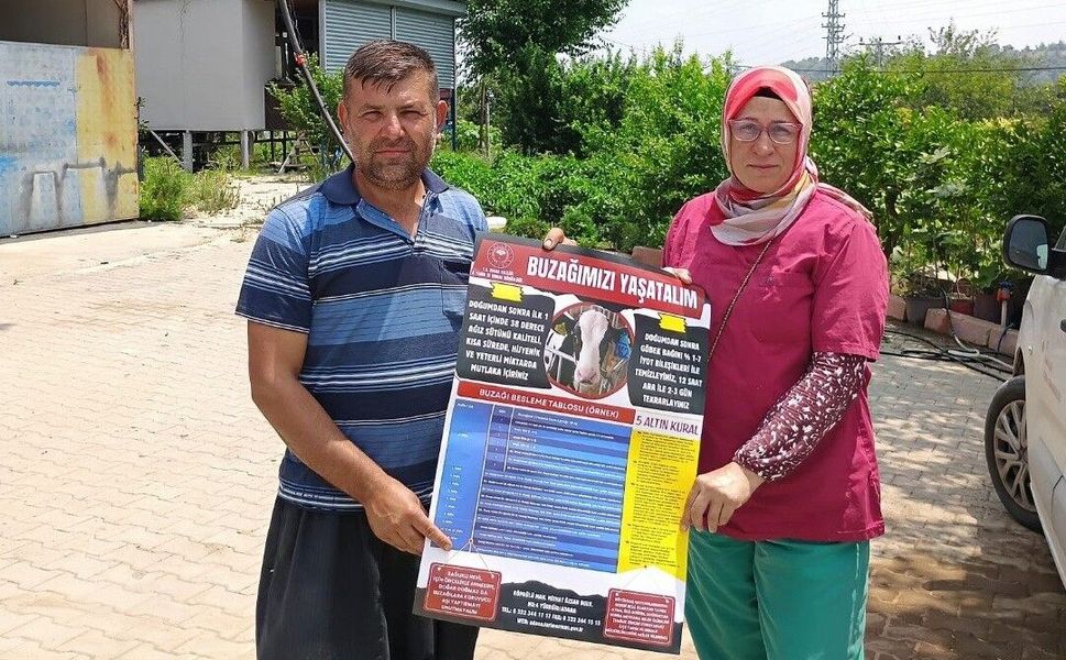Adana’da Yetiştiricilere Buzağı Kayıplarını Azaltmaya Yönelik Eğitim
