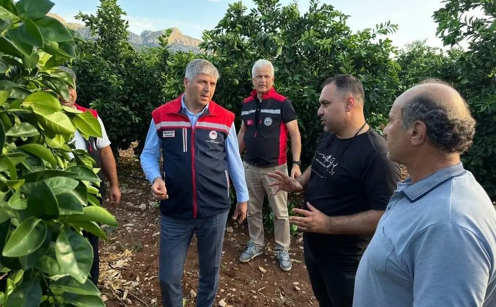 Adana’da Dolu Tarım Arazilerini Vurdu: Narenciye Bahçelerinde Hasar Tespiti Başladı