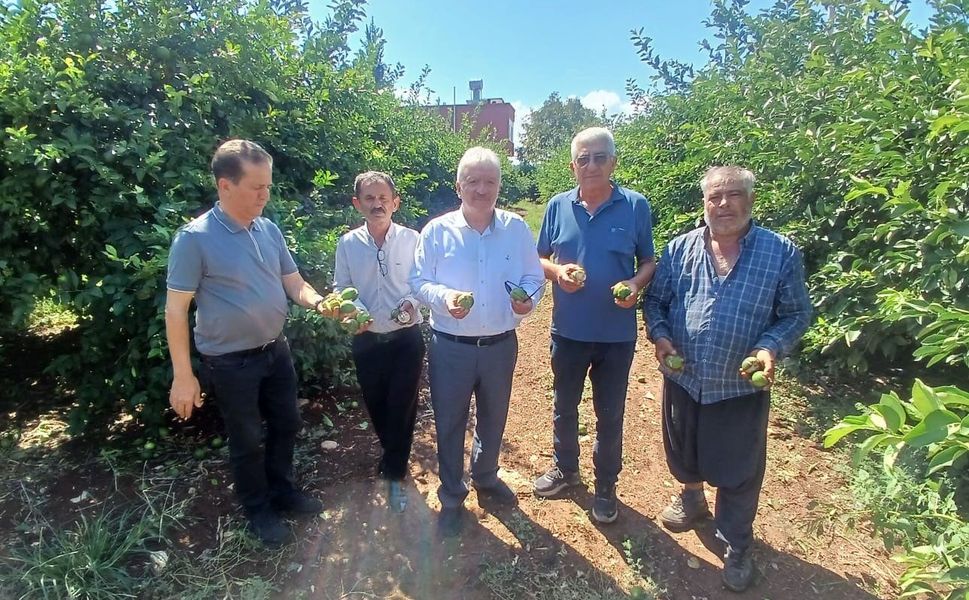 Yüreğir’de Dolu Felaketi: 35 Bin Dönüm Tarım Alanı Zarar Gördü