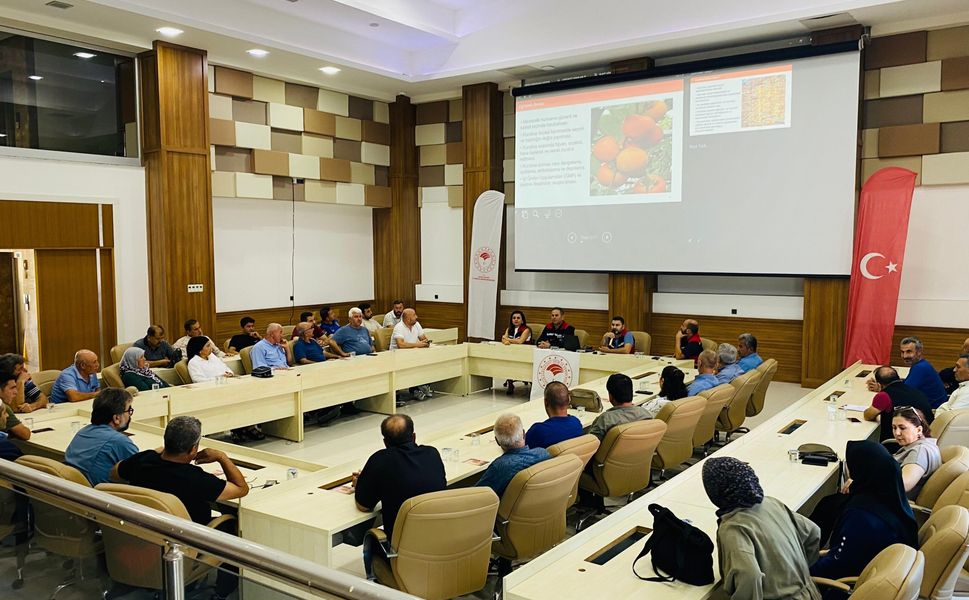 Kozan Hurması İçin Önemli Adım! Kaliteyi Artıracak Eğitim Verildi