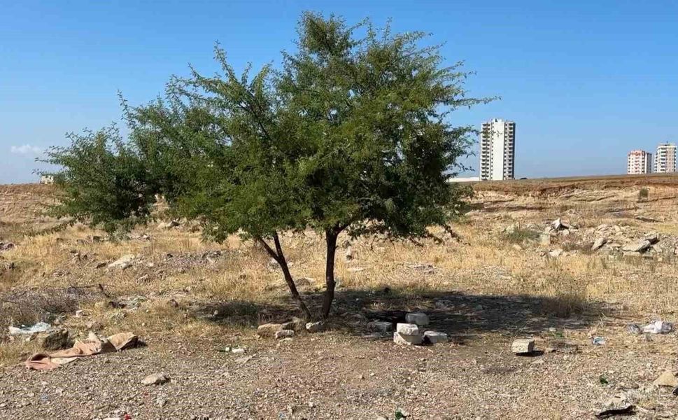 Adana’da Boş Arazide Ceset Bulundu! Kimliği Belli Oldu