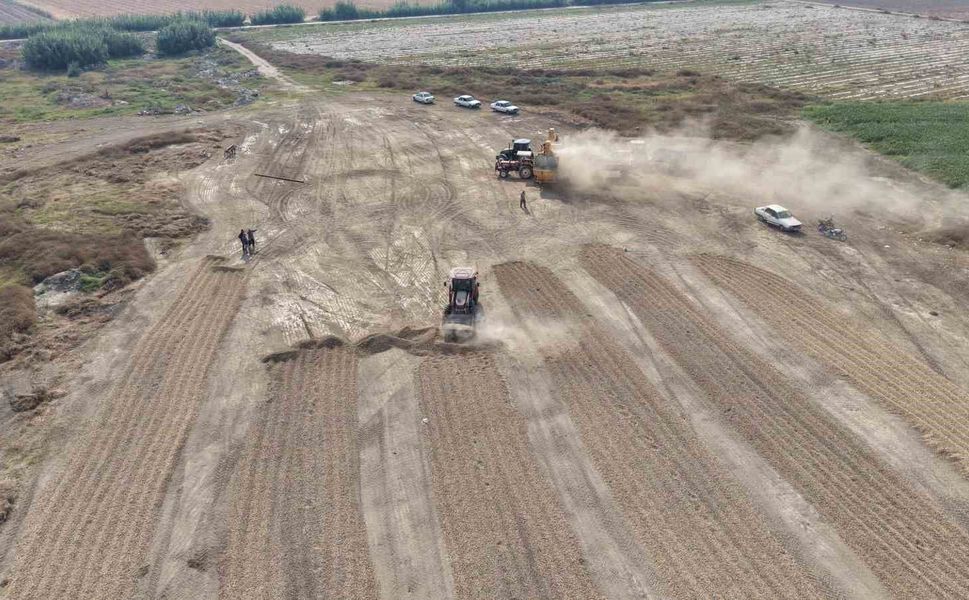 Adana’da Yer Fıstığı Üreticisi Kara Kara Düşünüyor! Fiyat 60 Liraya Düştü
