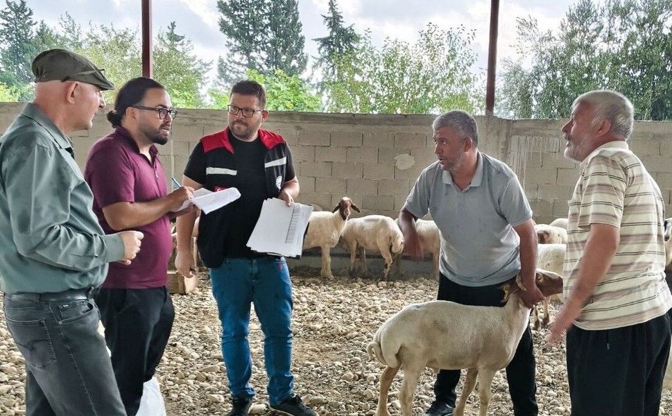 Adana’da Koyun ve Keçilerde Veba Hastalığına Karşı Bağışıklık Takibi