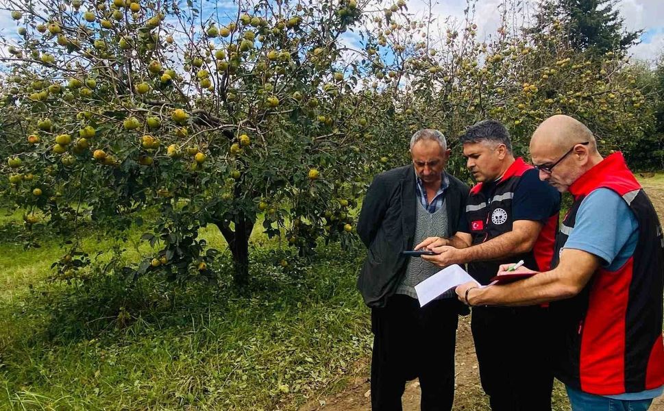 Adana Kozan’da Dolu Hasarı İçin Harekete Geçildi! Çiftçilere Başvuru Çağrıs