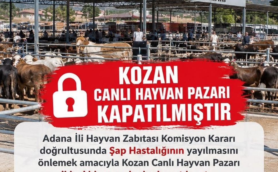 Kozan Hayvan Pazarında Şap Alarmı! İkinci Emre Kadar Kapatıldı