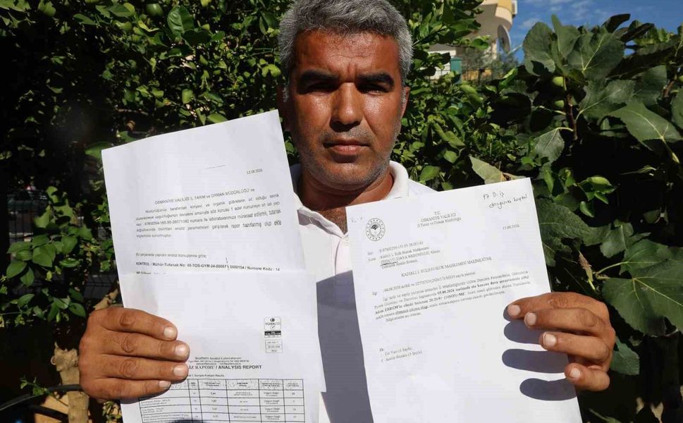 Mısırlar Neden Büyümedi? Çiftçi Gübreyi Analiz Ettirdi, Ardından Dava Açtı