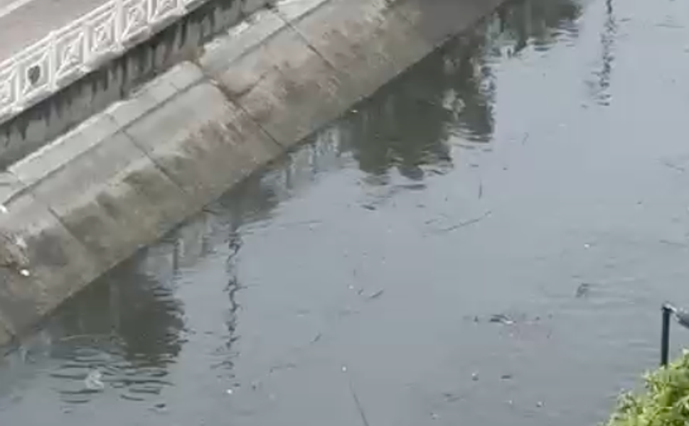 Sulama Kanalı Halk Sağlığını Tehdit Ediyor