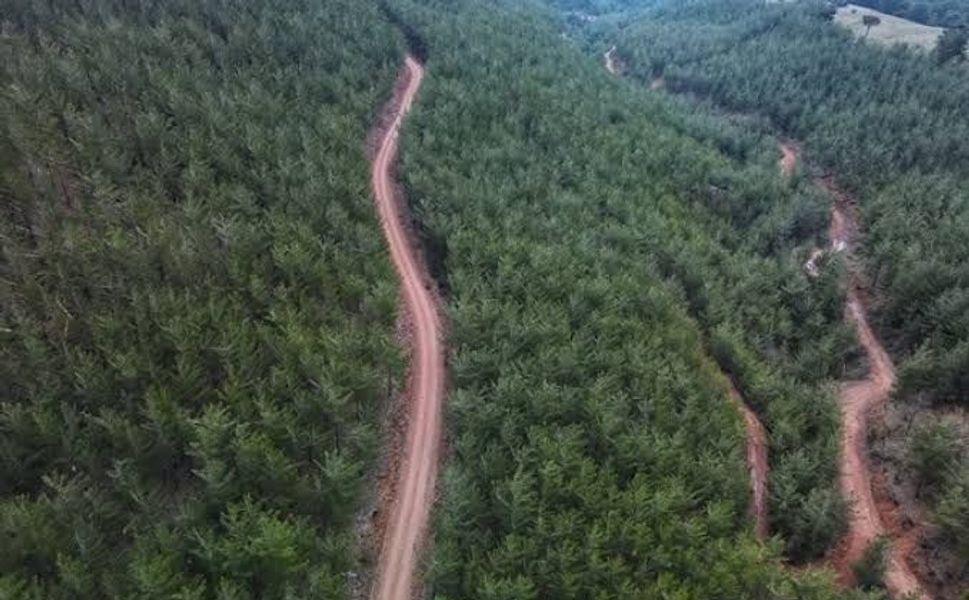 Karaisalı’da Orman Depolarında 2027 Hazırlığı: Binlerce Metreküp Ürün İstiflenecek